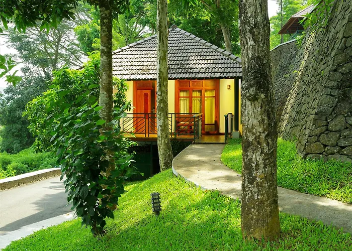 Forest Canopy Thekkady