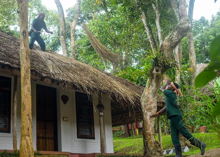 Spice Village Thekkady - A Cgh Earth Experience